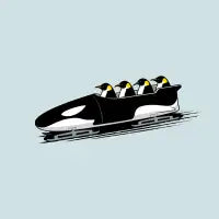 Polar Sport - design