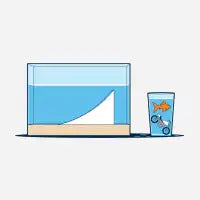 Stunt Fish - design