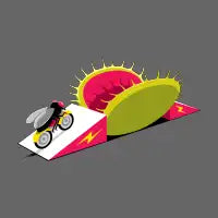 Stunt Fly - design