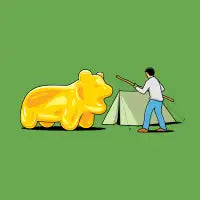 Wild Gummi - design