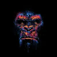 Colorful King - design
