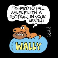Drabble Wally Football II - design