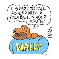 Drabble Wally Football - design