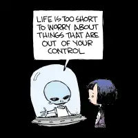 Non Sequitur Life is Too Short II - design