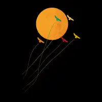 Flight Lines - design