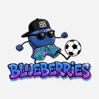Blueberries - design