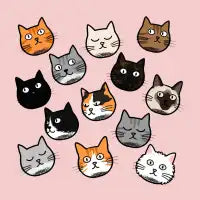 Cats - design