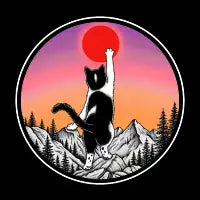 Curious Cat - design