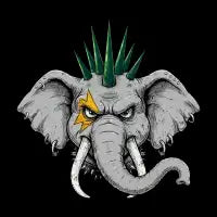ElePUNK - design