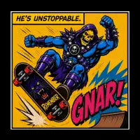 Skatelator - design