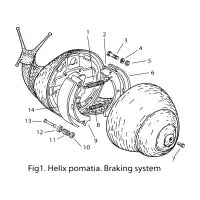 BRAKING SYSTEM - design