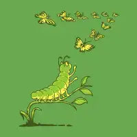 CATERPILLAR AND BUTTERFLIES - design
