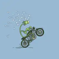 DANDELION - design