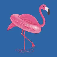 FLAMINGO & SWIMMING CIRCLE - design