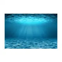Ocean underwater - design