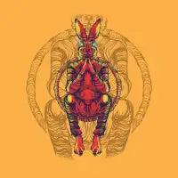 RABBYT - design