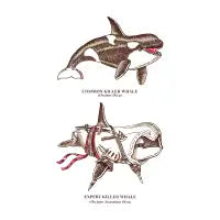 Expert Killer - design