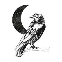 Midnight Raven - design