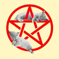 SLEEPY DEVILS - design