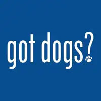 Got dogs? - design