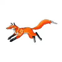 GEO FOX - design