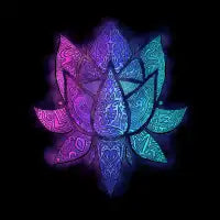 LOTUS - design