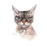 Grumpybarbara for Charity - design
