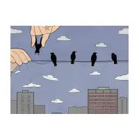 Crows - design