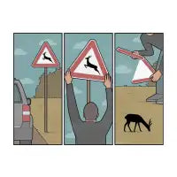 Deer - design