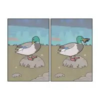 Duck - design