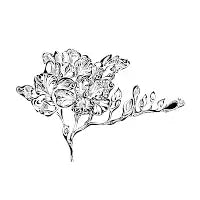 FREESIA - design