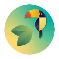 Toco Toucan - design