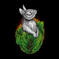 cony - design