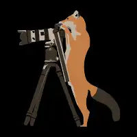 foxtographer - design
