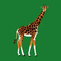 girrafe - design