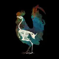 rooster - design