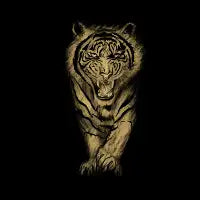 tiger roar - design