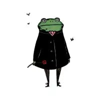 Frogface - design