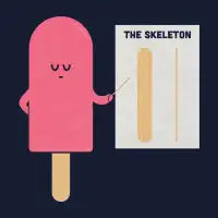 Anatomy - design