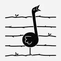 Bird Song - design