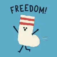 Freedom - design