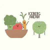 Iceberg - design