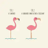Know Your Birds - Flamingo - design