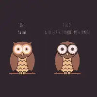 Know Your Birds - Owl - design