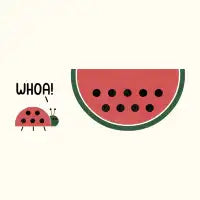 Ladymelon - design