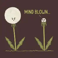 Mind Blown - design