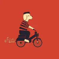Moped - design