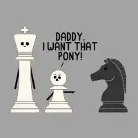 Pony - design