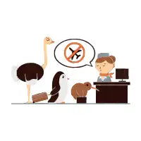The No-Fly List - design