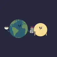 What The - design